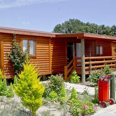Refreshing Tiny House With Shared Pool And Balcony In Bodrum 펜션